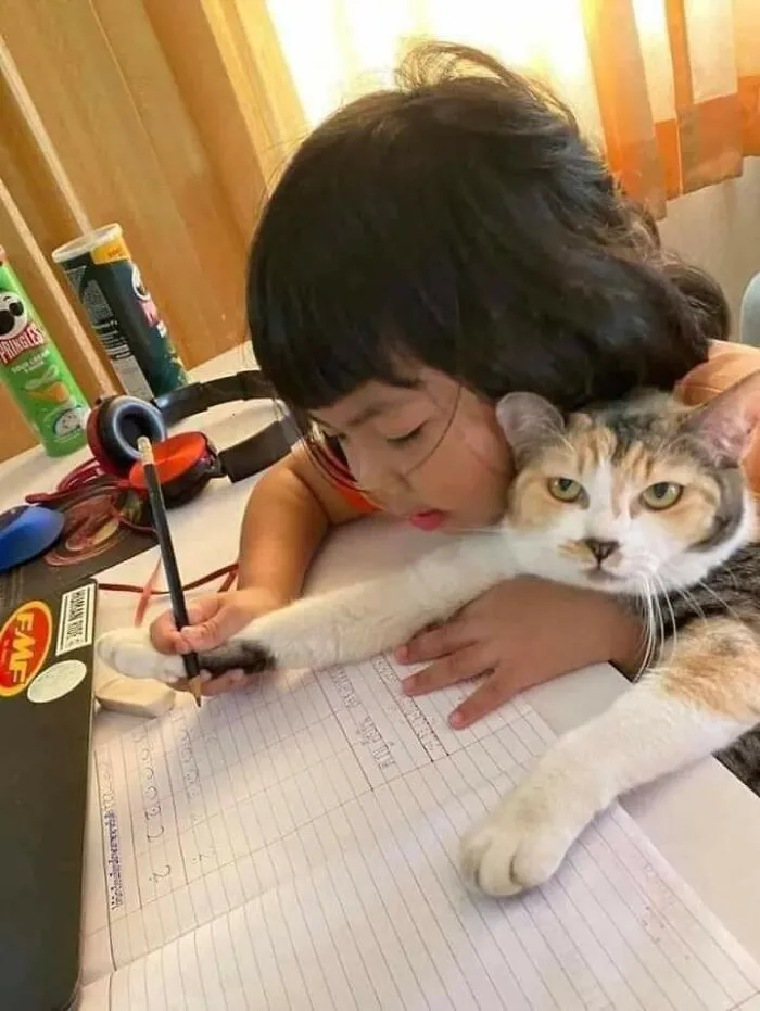 Девочка учит свою кошку писать.