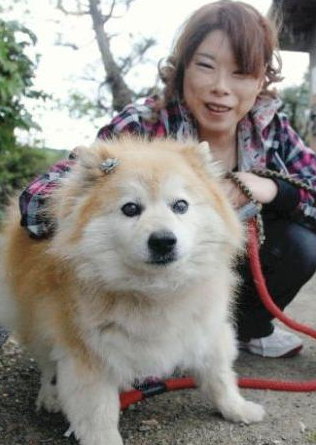 Самая старая собака в мире Pusuke. Фото с сайта absolutelyfobulous.com