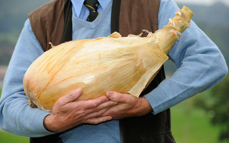 Пит Глейзбрук демонстрирует выращенный лук. © Nigel Roddis/Reuters