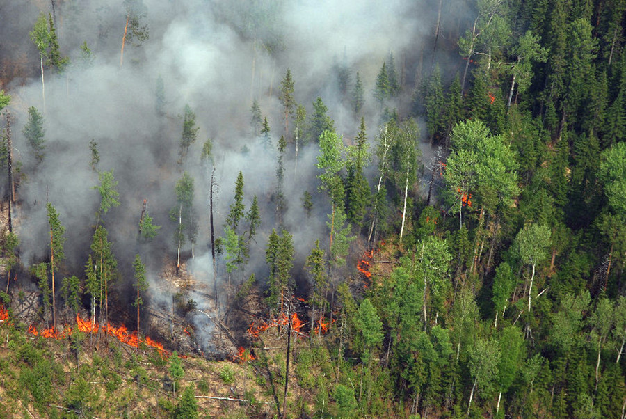 Лесной пожар. Архивное фото © Виктор Чавайн/ИТАР-ТАСС