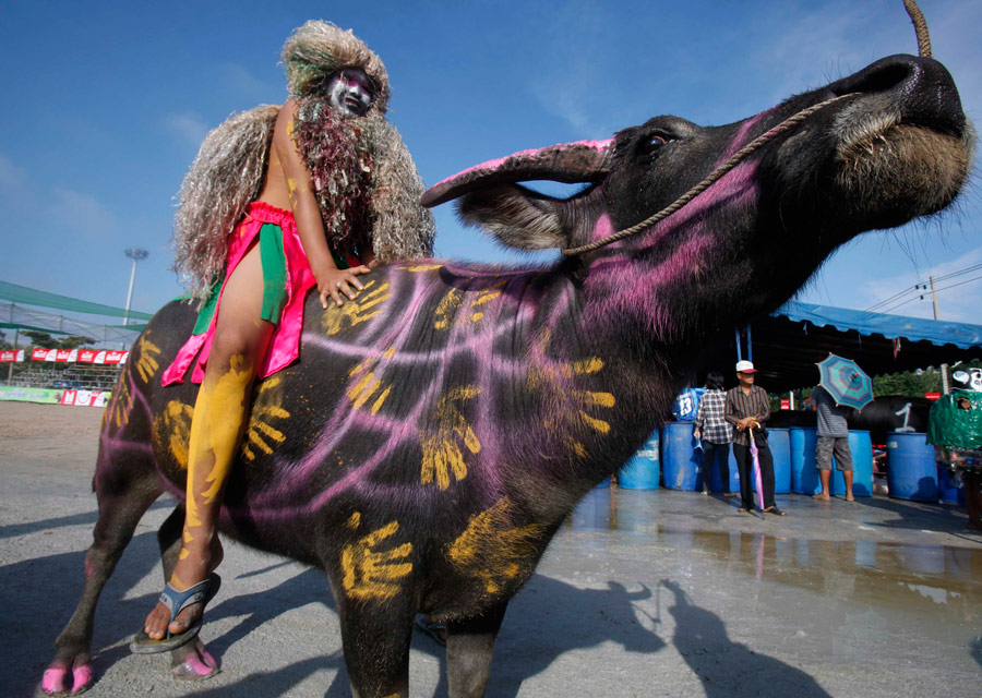 Разукрашенный бык. © Chaiwat Subprasom/Reuters