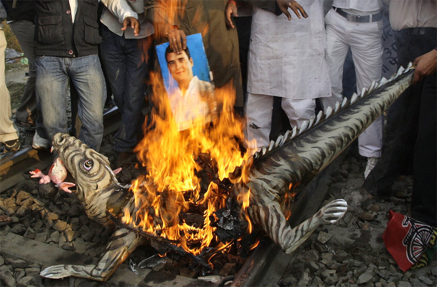 Индийские демонстранты сжигают игрушечного крокодила и портрет Рахула Ганди, сына Сони Ганди — лидера Индийского национального конгресса. © Jitendra Prakash/Reuters