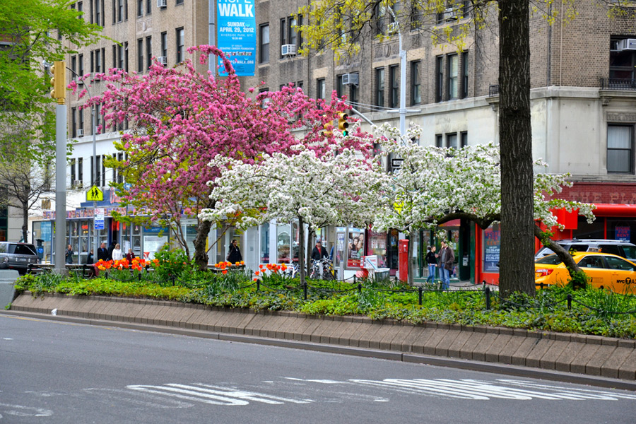 Нью-Йорк живые улицы. Цветочная улочка в Нью Йорке. Улицы Нью Йорка с деревьями. Улица весной. Улицы тет