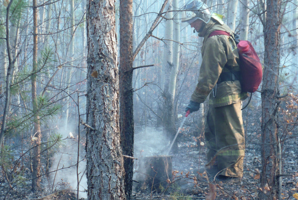 Тушение лесных пожаров в районе Братска. © Пресс-служба МЧС РФ/РИА Новости
