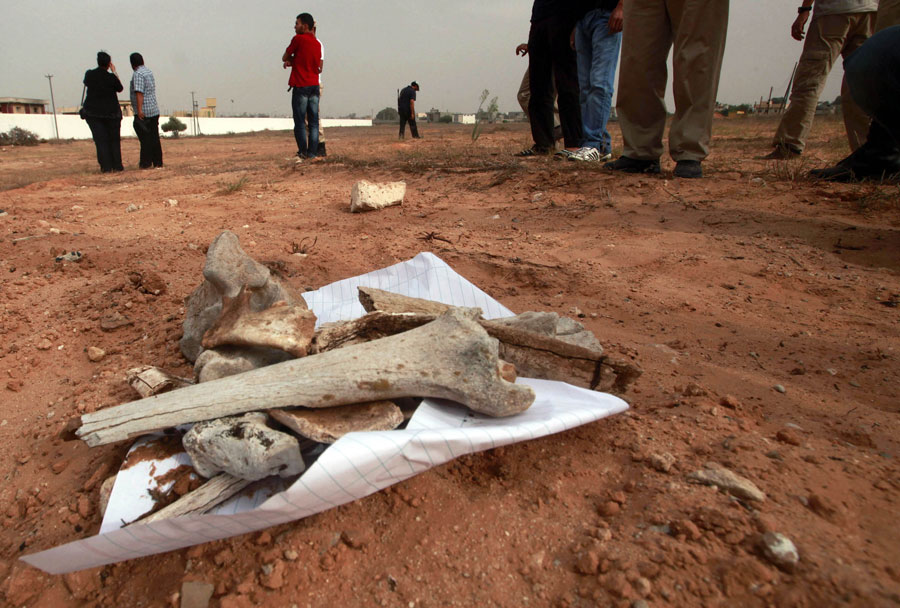Найденные в месте массового захоронения кости. © SUHAIB SALEM/Reuters