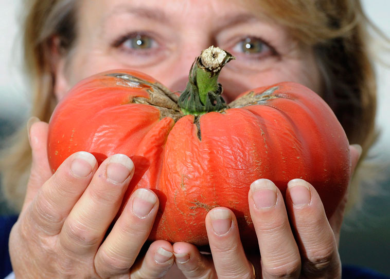 Гигантский помидор. © Nigel Roddis/Reuters