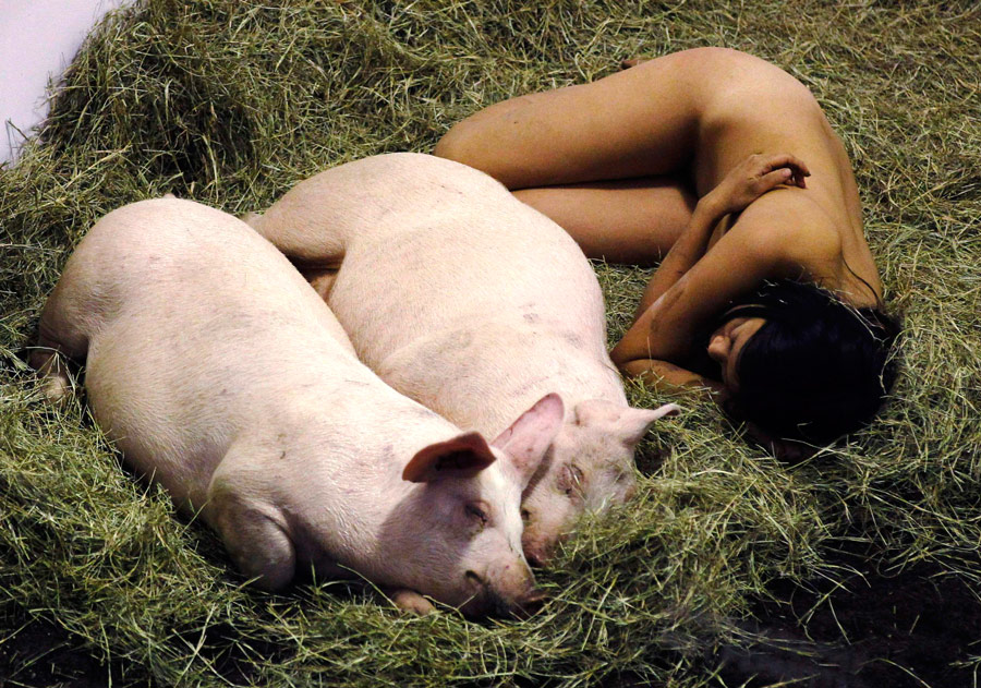 Арт-инсталляция «Мне нравятся свиньи и я нравлюсь свиньям» нью-йоркского художника Миру Ким в Майами в рамках ярмарки современного искусства. © Hans Deryk/Reuters
