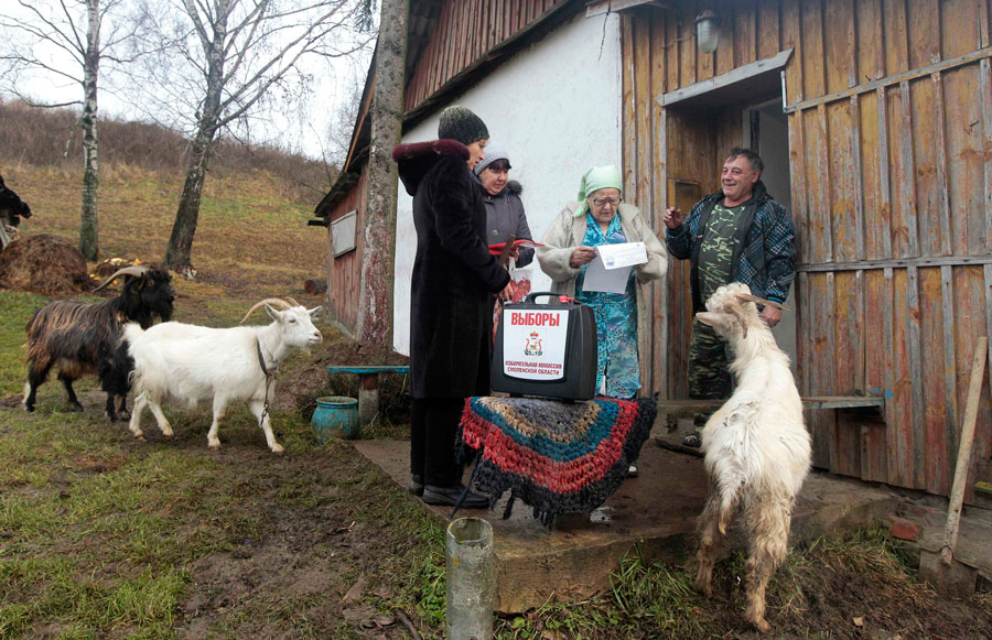 Пенсионерка в деревне Клюкино изучает бюллетень для голосования, находясь в окружении близких, работников избирательного участка и коз. © Vasily Fedosenko/Reuters