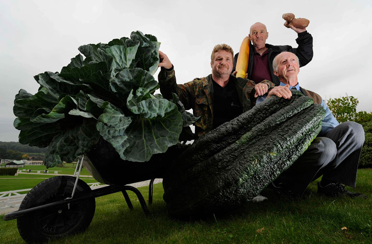 Ежегодный фермерский фестиваль в Англии. © Nigel Roddis/Reuters