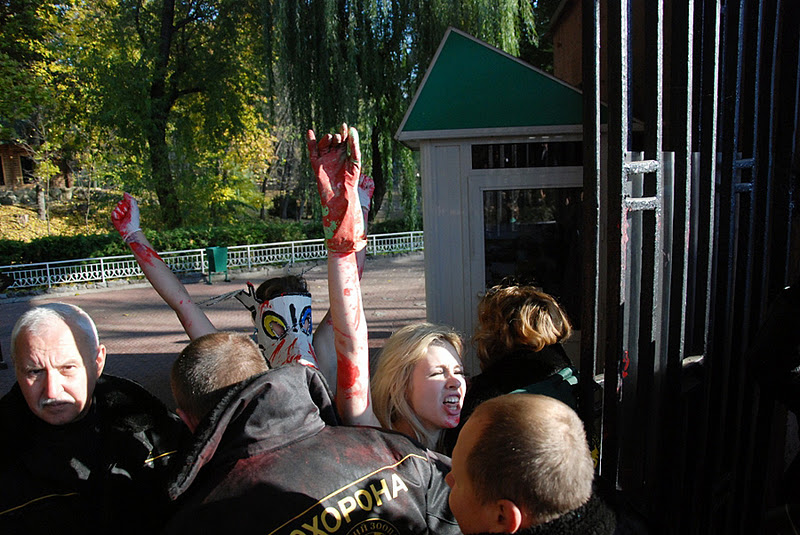 Акция «Зооморг» активисток FEMEN в Киевском зоопарке. © femen.livejournal.com