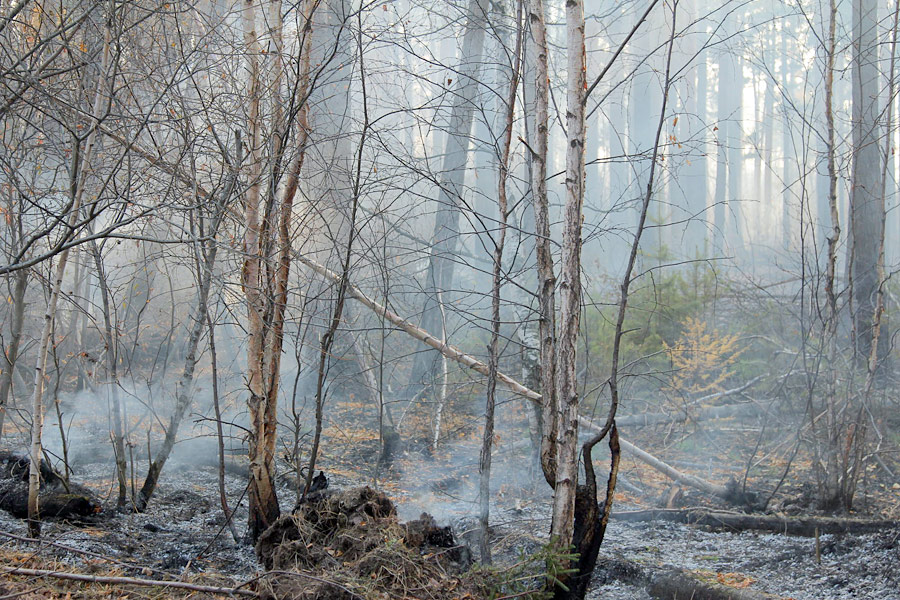 Пожары в Братске. © Юлия Яковлева