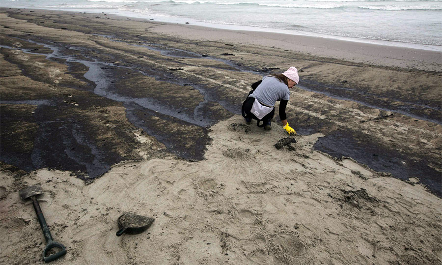 Волонтер собирает нефтепродукты, разлившиеся с судна Rena. © Mike Hutchings/Reuters