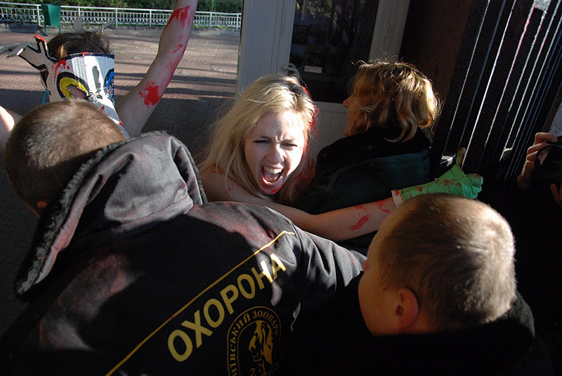 Акция «Зооморг» активисток FEMEN в Киевском зоопарке. © femen.livejournal.com
