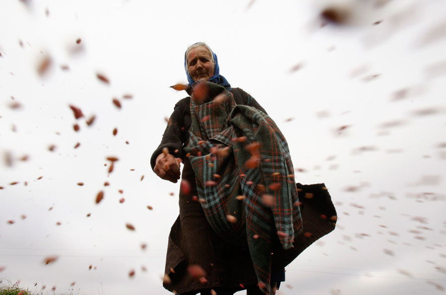 74-летняя фермерша сеет пшеницу в поле. © Vladimir Nikolsky/Reuters