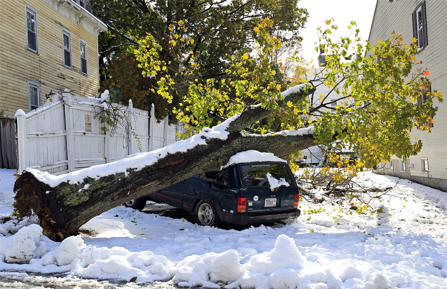 Последствия сильной метели на северо-востоке США. © Adam Hunger/Reuters