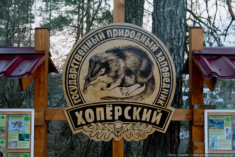 Экспедиция в Новохопёрский заповедник © Дмитрий Чушкин/Ridus.ru