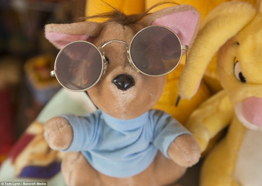 Costly hobby: Deb Hoffmann has spent approximately £65,000 building up the world's ultimate Winnie the Pooh collection 