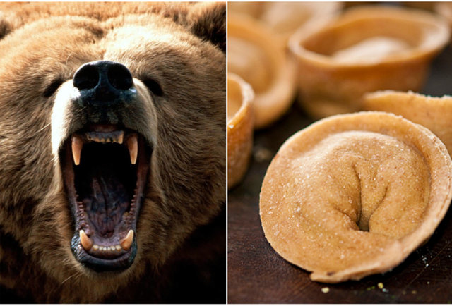 Bear dumplings-10 meals that will bite you back