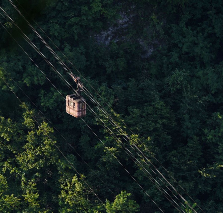 Forest: The tramway skims over trees during one of its many journeys across the valley