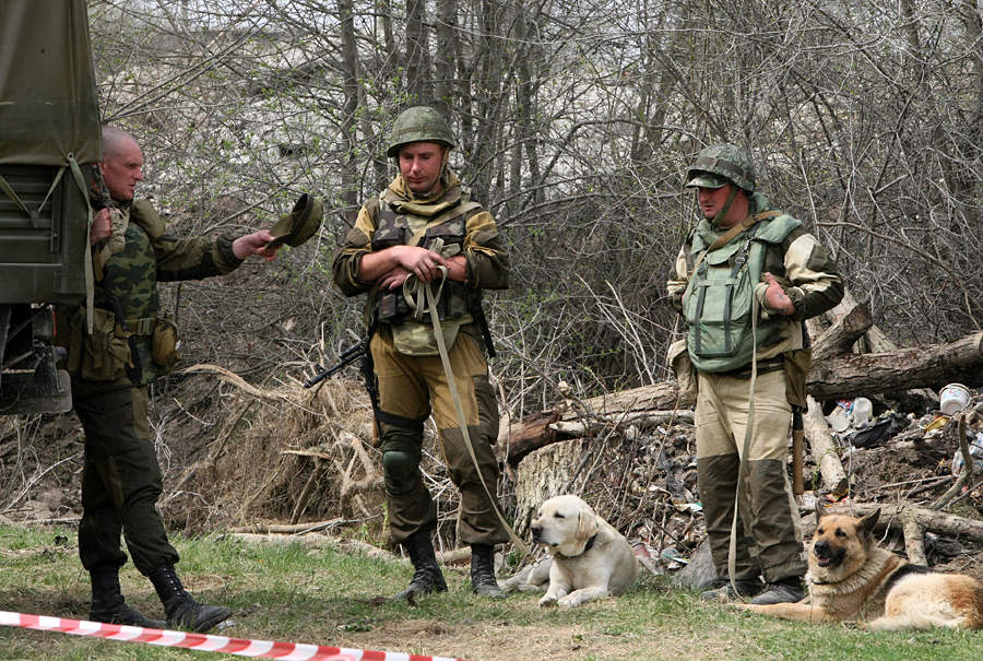 Разведывательный дозор. Минно розыскная собака. Собаки в Чеченской войне. Минно-розыскная служба собак.