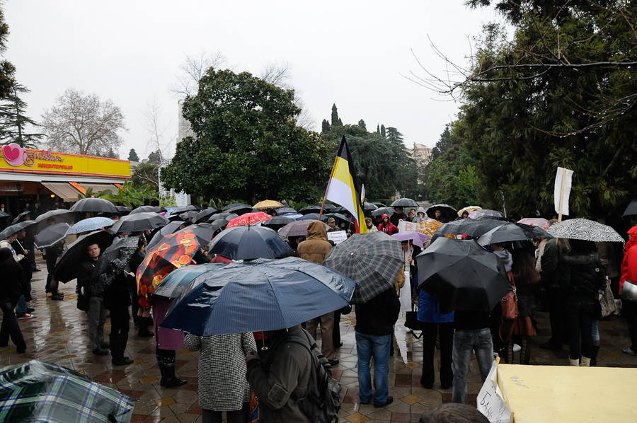 Митинг «Сочи — за Честные выборы». 24 декабря 2011 года, Сочи. © Евгений Реутов