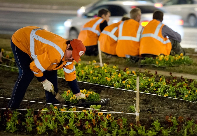 Почти три миллиарда на озеленение Москвы получат компании ростовского ...