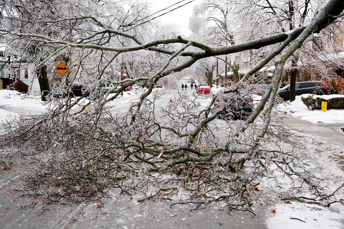 Обвалившиеся на дорогу деревья.