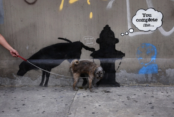 Собака пристроилась к нарисованному на стене гидранту.