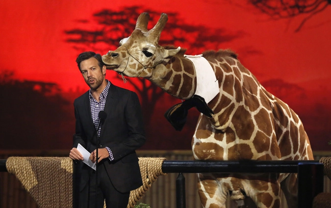 Молодой жираф облизывает актера Джейсона Судейкисва на седьмых ежегодных телевизионных премиях "Выбор парня" в Кулвер-Сити, Калифорния.