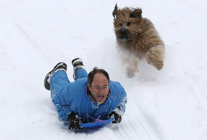 Мужчина и его собака радуются первому за два года настоящему снегопаду в Нью-Йорке, скатываясь с горки в Центральном парке. 