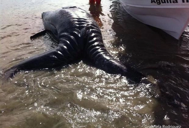 In article 9891d0151e