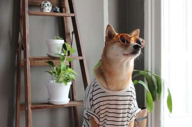 In article ec2c62ff80