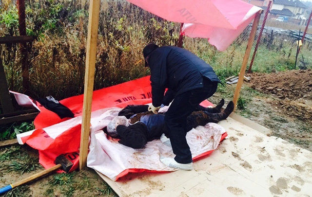 In article 0b18b25fd9