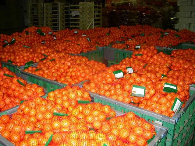 In article 411183e51f