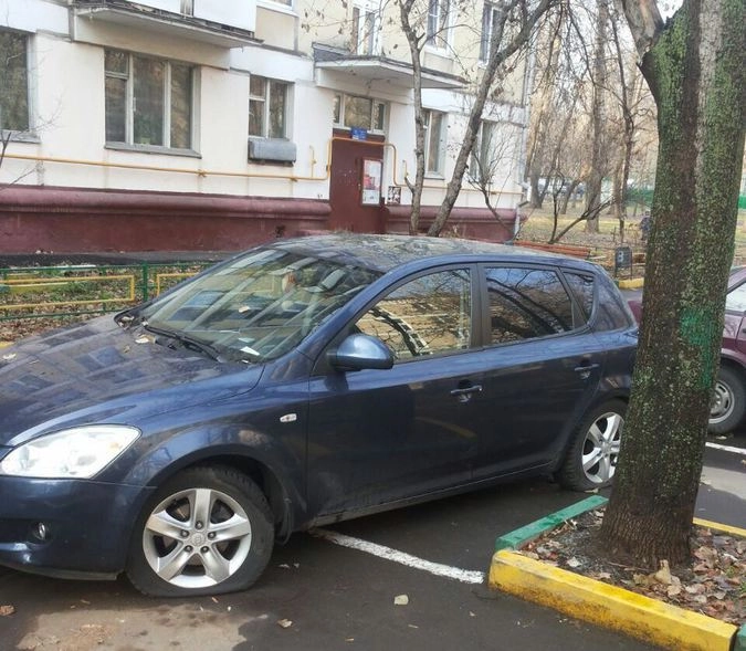 Гражданское общество в действии