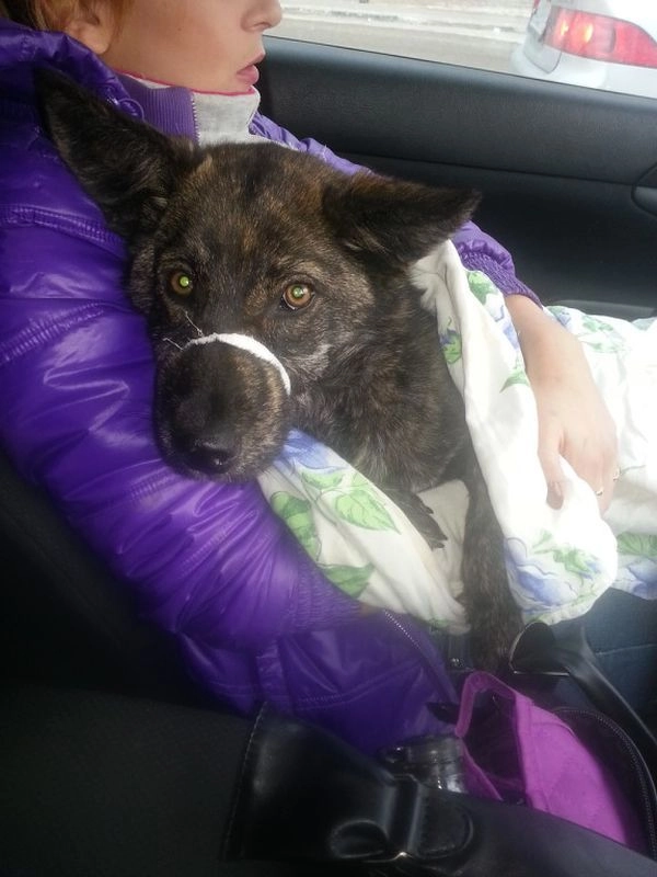 In article 9df69fbad5