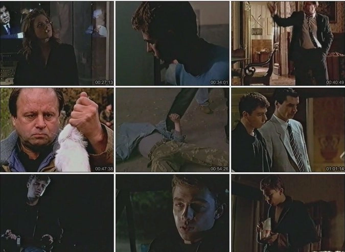 Кадры из фильма «Стрингер»