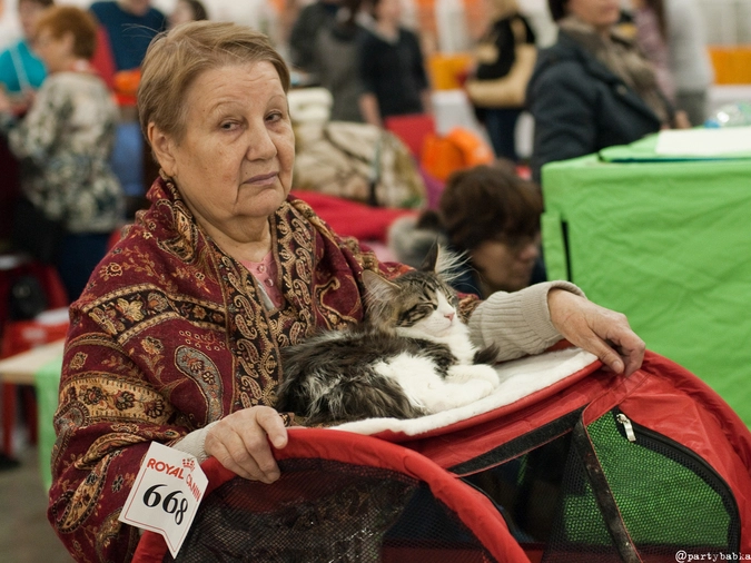 Настроение участников рынка