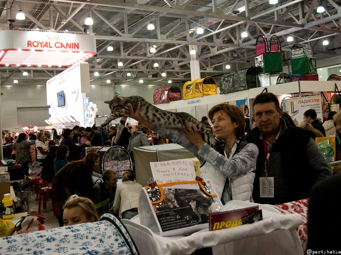 Недоверие на рынке