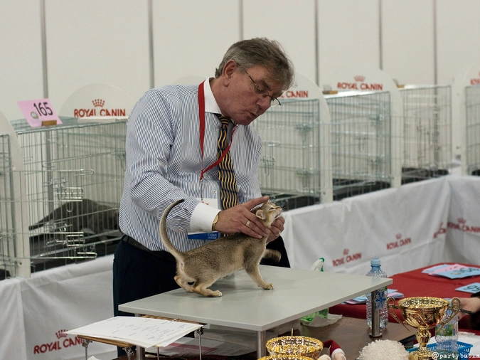 Сингапура на ринге