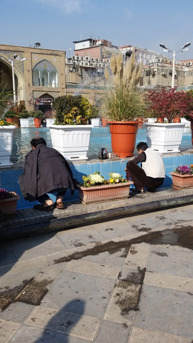 и сами моются...