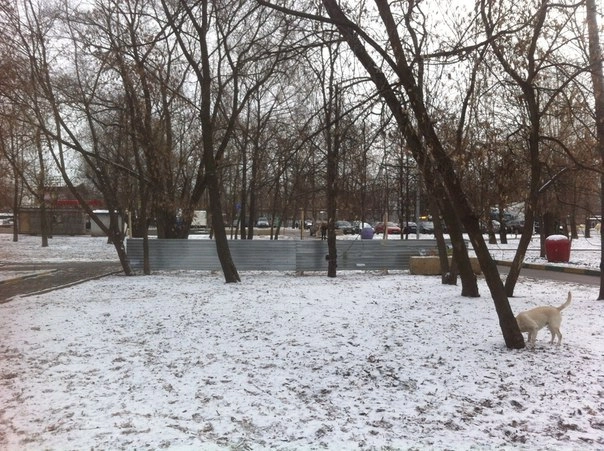 In article 86619c6b51