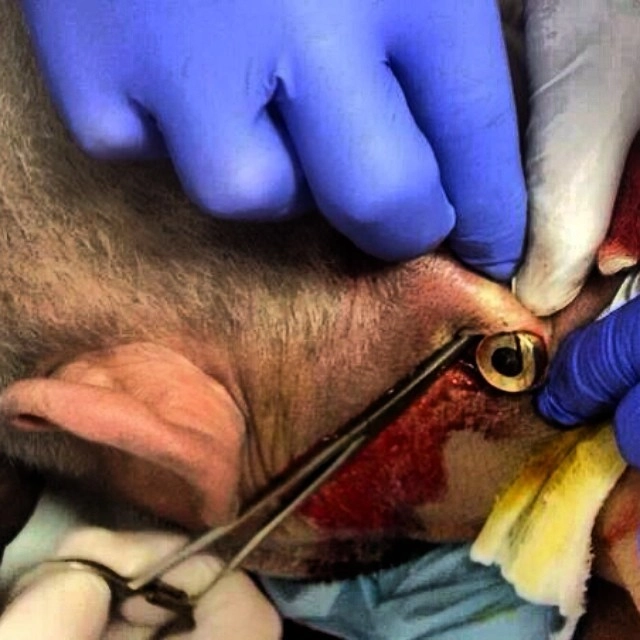 In article 24bebf2f99