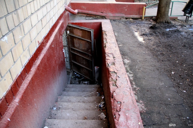 Мигранты пытались скрыться от сил правопорядка, точнее от силы в лице участкового, в подвале...