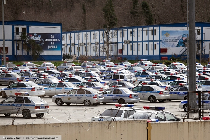 Я нашел их гнездо!