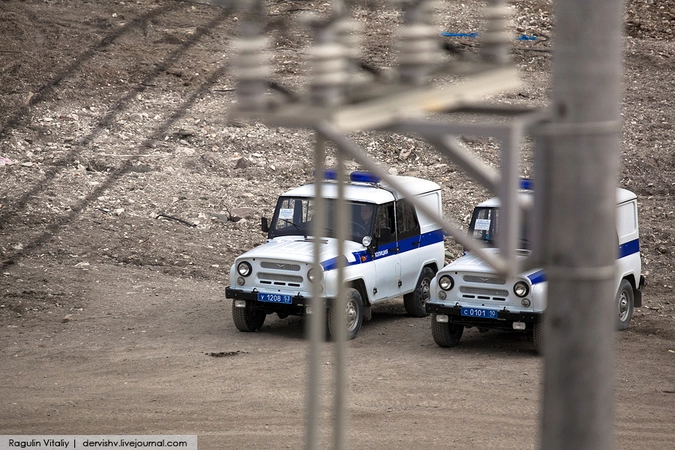 Бобики в засаде.