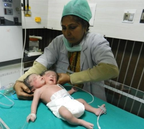 In article 8e19a4ee4e