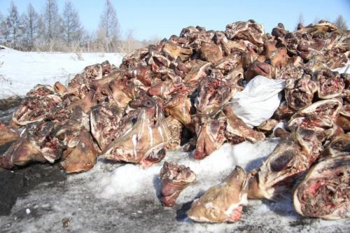 In article 83d8c50553