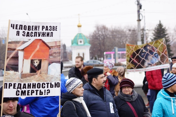 Николь Штеккер