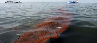 In article adf23039d0